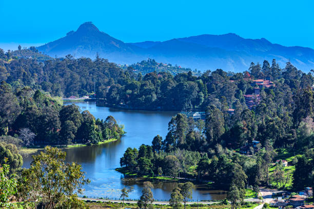 kodai